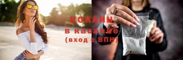 сатива Верхний Тагил