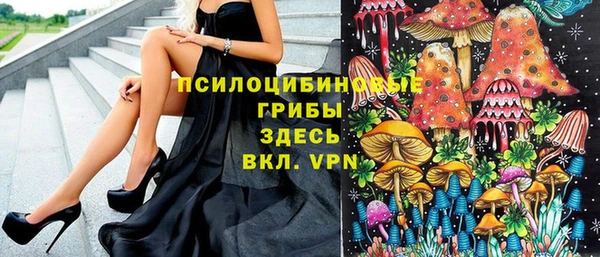 эйфоретик Верея