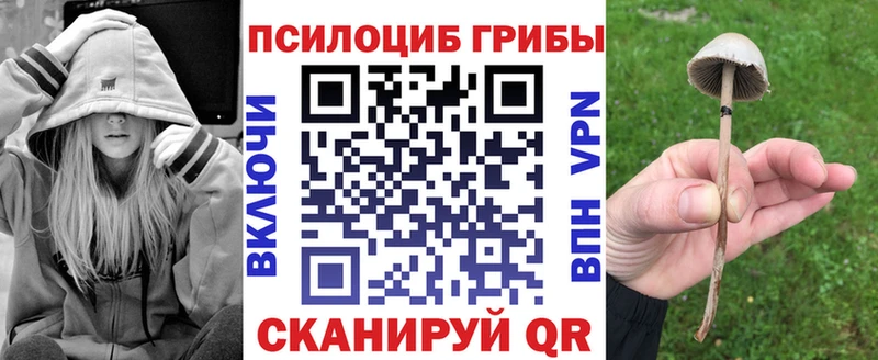 наркотики  Гай  Псилоцибиновые грибы ЛСД 