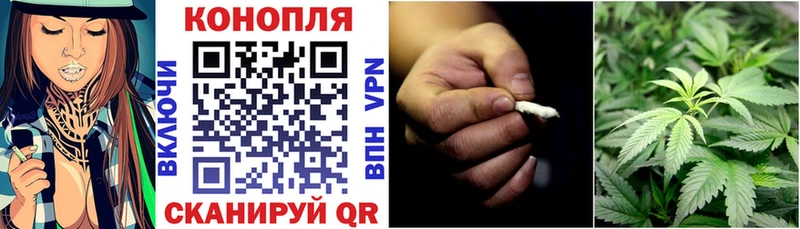 где найти Гай Каннабис VHQ